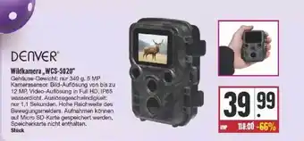 Edeka Denver Wildkamera „wcs-5020“ Angebot