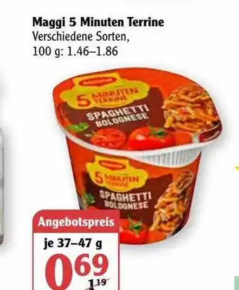 Globus Maggi 5 Minuten Terrine Angebot