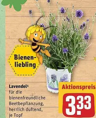 REWE Lavendel Angebot