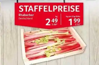 Selgros Rhabarber Angebot