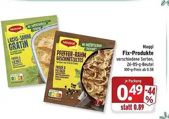 Wasgau Maggi Fix-produkte Angebot