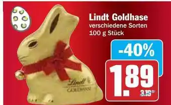 Hit Lindt Goldhase Angebot