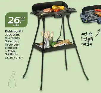 NETTO Elektrogrill Angebot