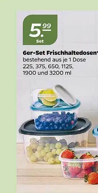 NETTO 6er-set Frischhaltedosen Angebot