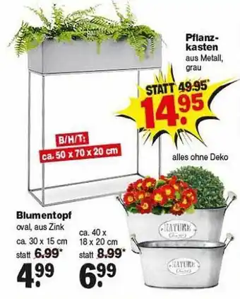 Repo Markt Pflanzkasten, Blumentopf Angebot