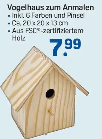 Rossmann Vogelhaus zum Anmalen Angebot