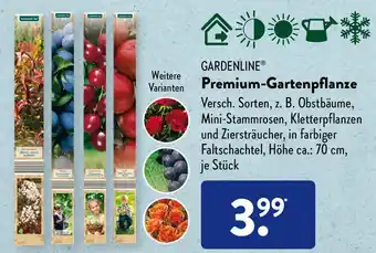 Aldi Süd Gardenline Premium Gartenpflanze Angebot