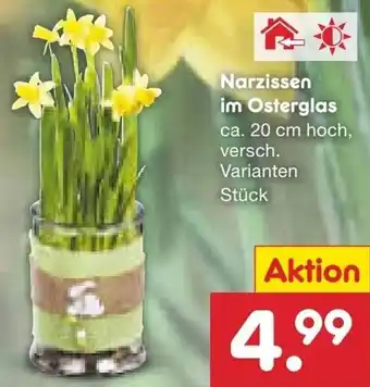 Netto Marken-Discount Narzissen im Osterglas Angebot