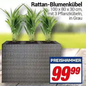 CENTERSHOP Rattan Blumenkübel Angebot
