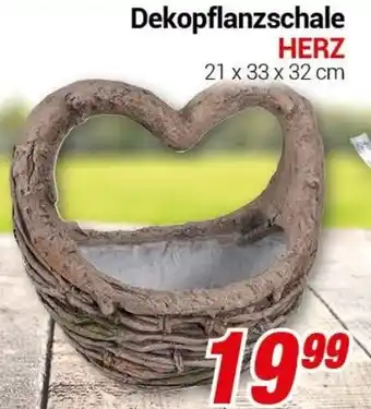 CENTERSHOP Dekopflanzschale Herz Angebot