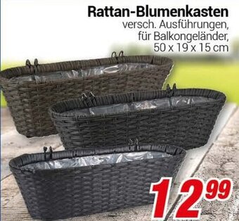 CENTERSHOP Rattan Blumenkasten Angebot
