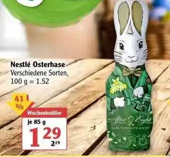 Globus Nestlé Osterhase Angebot