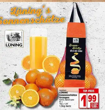 Elli Markt Lüning Sonnenschätze Orangen Angebot