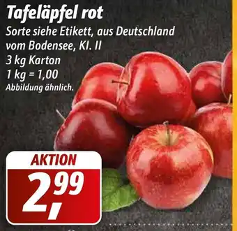 Simmel Tafeläpfel rot 3kg Karton Angebot