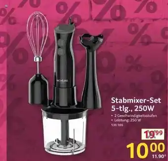 Selgros Michelino Stabmixer-set 5-tlg., 250w Angebot