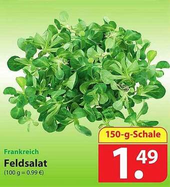 Famila Nord Ost Feldsalat Angebot