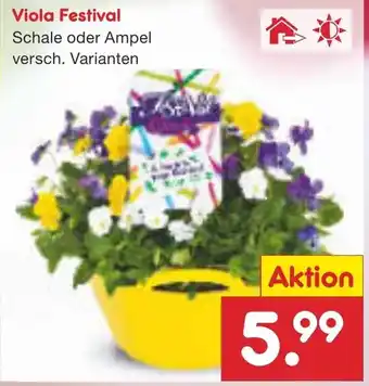 Netto Marken-Discount Viola Festival Angebot