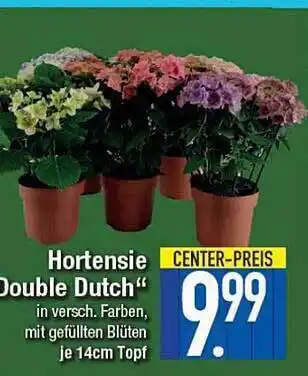 E-Center Hortensie Double Dutch Angebot