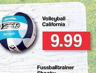 Famila Nord West Volleyball California Angebot