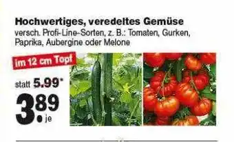 Repo Markt Hochwertigesm Veredeltes Gemüse Angebot