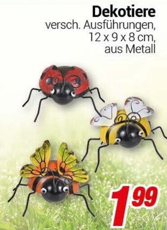 CENTERSHOP Dekotiere Angebot
