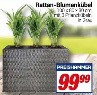 CENTERSHOP Rattan Blumenkübel Angebot