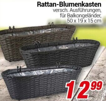 CENTERSHOP Rattan Blumenkasten Angebot