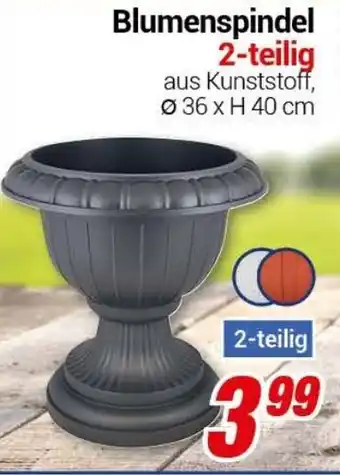 CENTERSHOP Blumenspindel 2 teilig Angebot