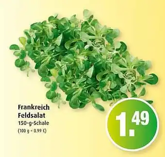 Markant Frankreich Feldsalat Angebot