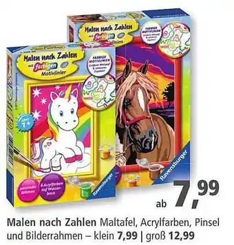 Pfennigpfeiffer Malen Nach Zahlen Angebot