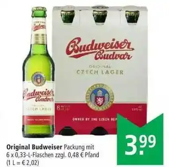 Marktkauf Original Budweiser Angebot