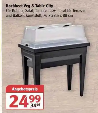 Globus Hochbeet Veg & Table City Angebot