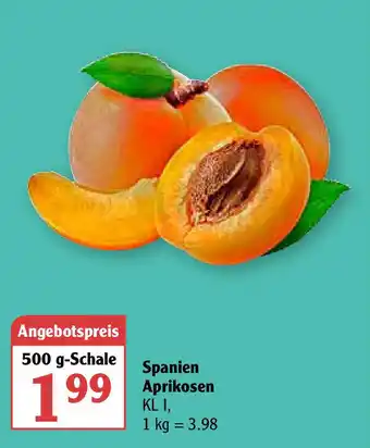 Globus Spanien Aprikosen 500g Angebot