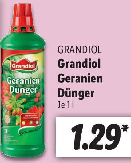 Grandiol Geranien Dnger 1L Angebot bei Lidl