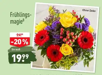 Aldi Nord Frühlingsmagie Angebot