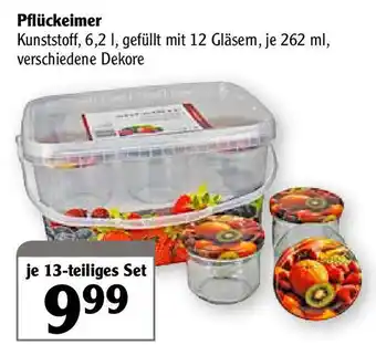 Globus Pflückeimer Angebot