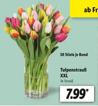 Lidl Tulpenstrauß xxl Angebot