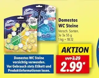 Lidl Domestos wc steine Angebot