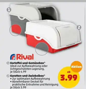 PENNY Rival kartoffel-und-gemüsebox oder karotten-und-zwiebelbox Angebot