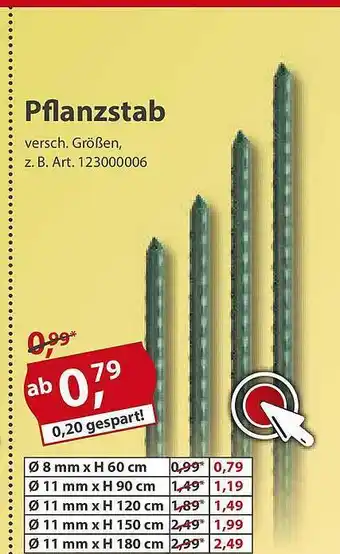 Sonderpreis Baumarkt Pflanzstab Angebot