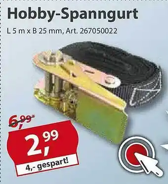 Sonderpreis Baumarkt Hobby-spanngurt Angebot