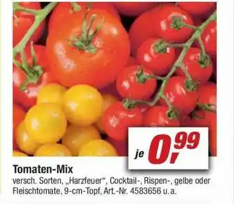 toom Baumarkt Tomaten-mix Angebot