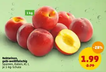 PENNY Nektarinen, gelb-weißfleischig 1kg Angebot