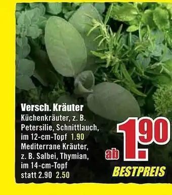 B1 Discount Baumarkt Versch. Kräuter Angebot