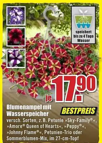 B1 Discount Baumarkt Blumenampel Mit Wasserspeicher Angebot