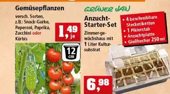 Thomas Philipps Gemüsepflanzen Grüner Jan Anzucht-starter-set Angebot