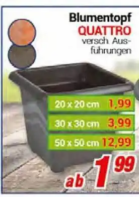 CENTERSHOP Blumentopf Quattro Angebot