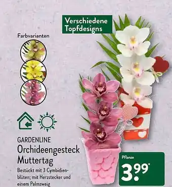 Aldi Nord Gardenline Orchideengesteck Muttertag Angebot