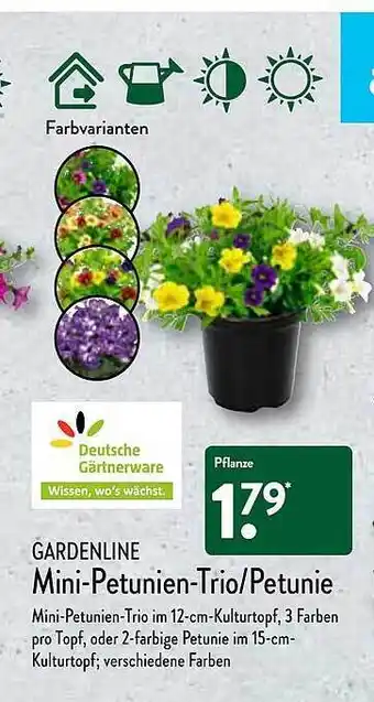Aldi Nord Gardenline Mini-petunien-trio-petunie Angebot