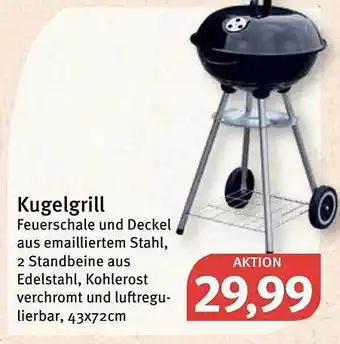 Feneberg Kugelgrill Angebot